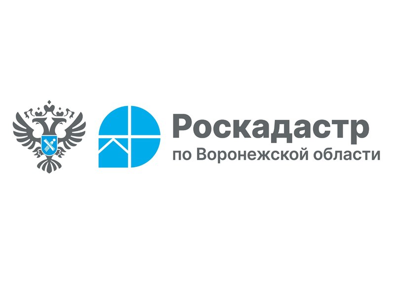 Воронежский Роскадастр ответит на вопросы получения выписок и материалов ГФДЗ.