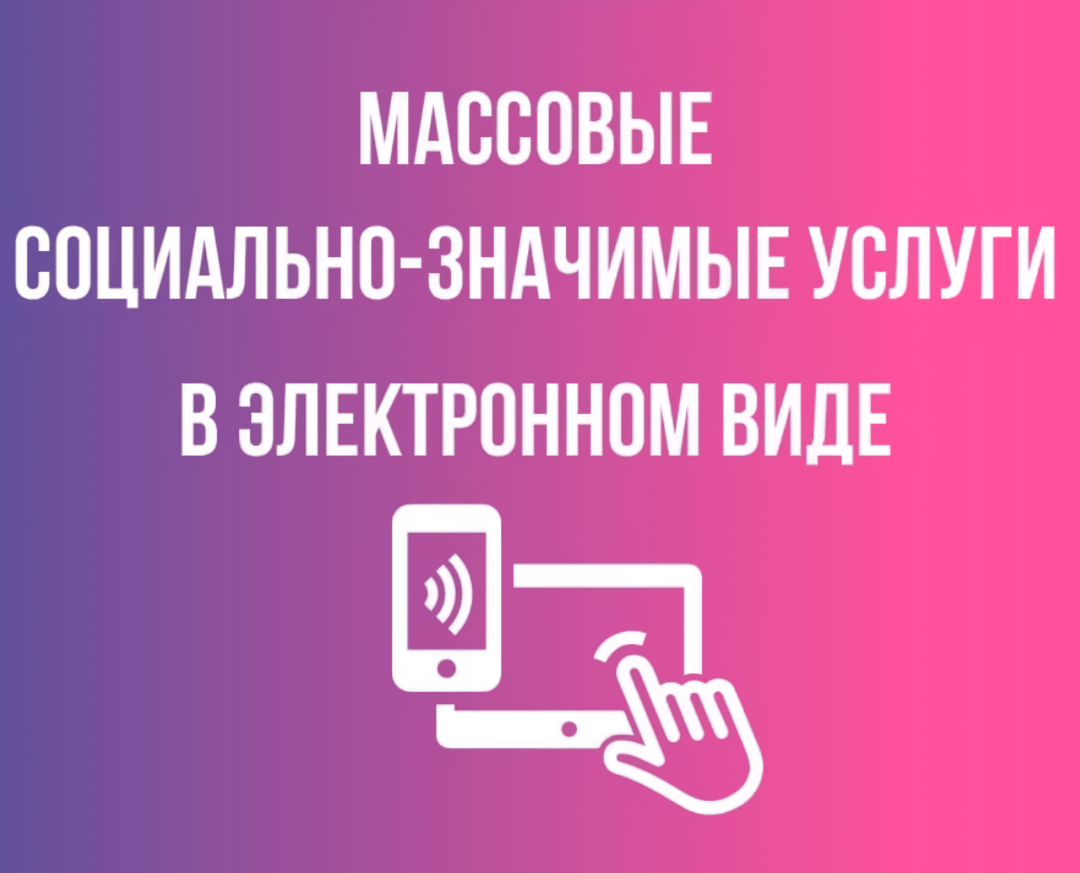 Возможность получения массовых социально значимых государственных и муниципальных услуг в электронном виде.